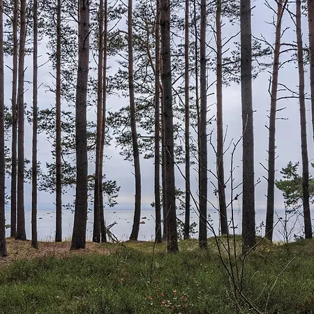 Holiday home Seaside Log-house 'merehobeda' With Sauna And Hot Tub *