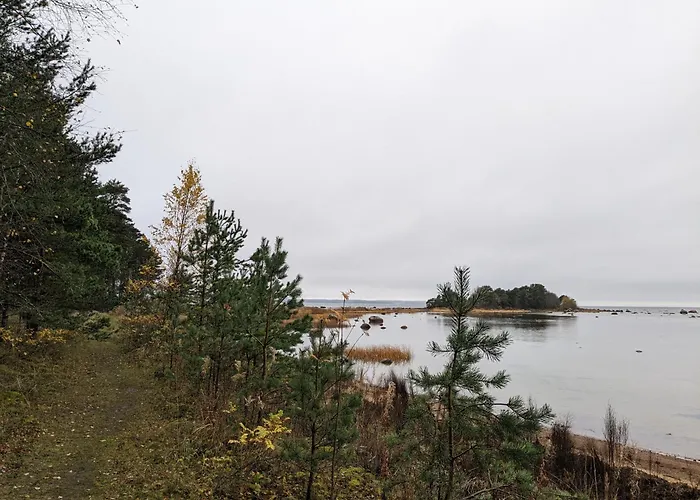 Seaside Log-house 'merehobeda' With Sauna And Hot Tub Лохусалу