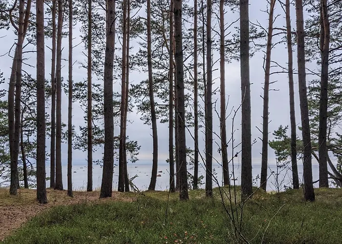 Дом отдыха Seaside Log-house 'merehobeda' With Sauna And Hot Tub *