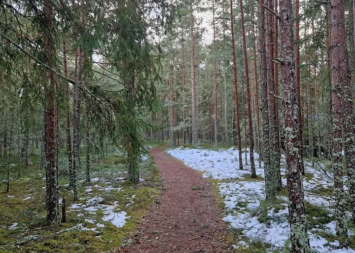 Seaside Log-house 'merehobeda' With Sauna And Hot Tub *